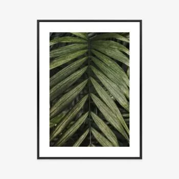 Plakat w ramie - egzotyczne liście palmowe - obrazek 3