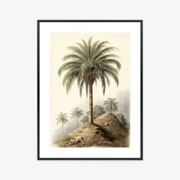 Plakat w ramie - botaniczna palma na pustynnym krajobrazie - obrazek 3