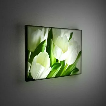Obraz podświetlany LED - białe tulipany