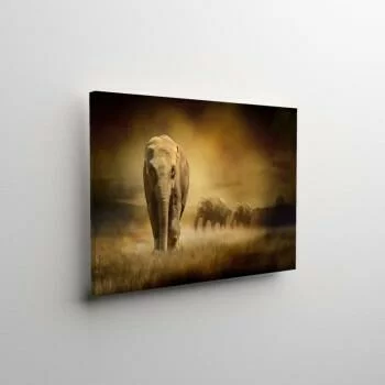 Obraz podświetlany LED - samotny słoń