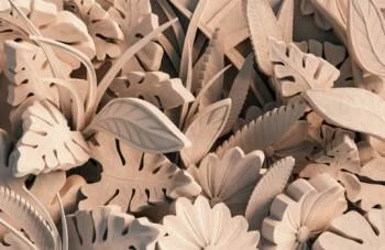 Fototapeta 3D - alabastrowe liście