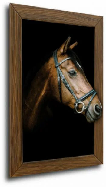Obraz 3D - głowa konia