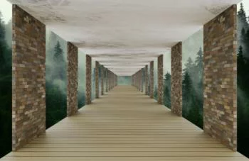 Fototapeta 3D - korytarz w lesie - obrazek 2