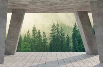 Fototapeta 3D las w oddali - obrazek 2