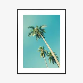 Plakat w ramie - tropikalne tło z palmami w świetle słońca - obrazek 3