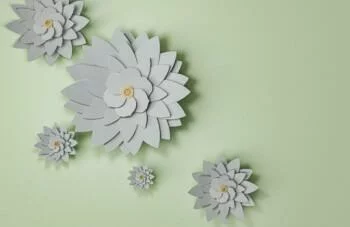 Fototapeta 3D cień kwiatów
