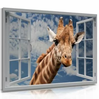 Obraz 3D żyrafa za oknem