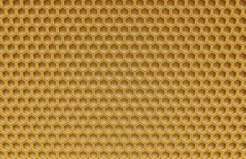 Fototapeta 3D - plaster miodu - obrazek 2