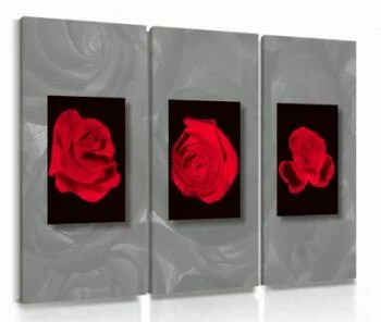 Obraz tryptyk czerwone róże
