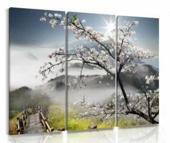 kwitnąca wiśnia - nowoczesny obraz na ścianę