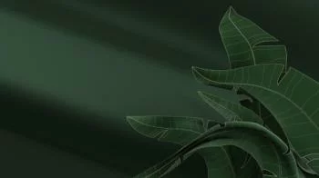Fototapeta 3D - odpocznij wśród liści