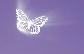 Fototapeta świecący motylek - obrazek 2