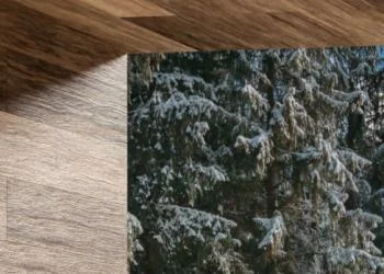 Fototapeta 3D - widok z okna tarasowego - obrazek 3