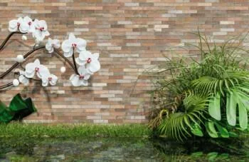 Fototapeta 3D orchidee nad wodą