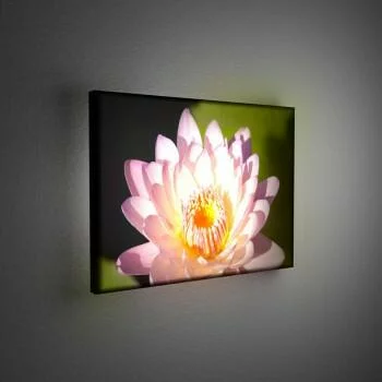 Obraz podświetlany LED - lilia wodna