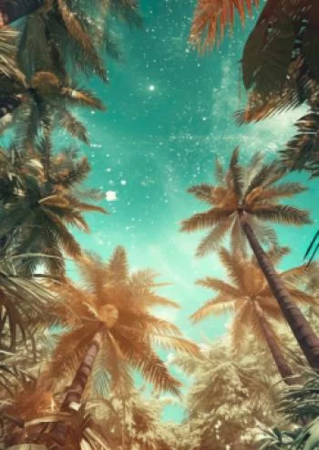 Plakat w ramie - piękne letnie palmy z gwiazdami - obrazek 2
