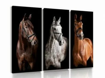 Obraz tryptyk 3 konie