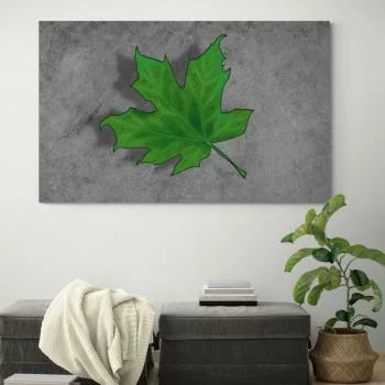 Obraz zielony liść