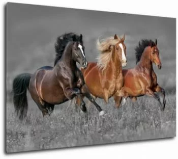 Obraz na płótnie - kasztanowe konie