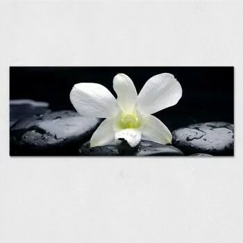 Obraz na szkle - biała orchidea