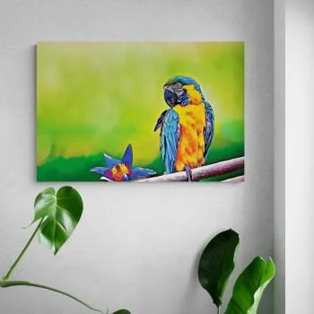 Obraz kolorowa papuga