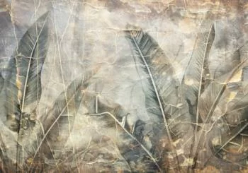Fototapeta dżungla snów - obrazek 2
