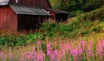 Fototapeta - piękny letni wschód słońca w górach - Hala Gąsienicowa - obrazek 3