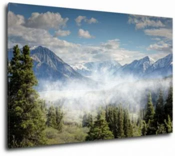 Obraz - góry, las i mgła