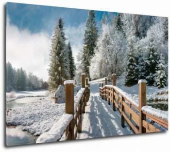 Obraz na płótnie - zimowy krajobraz