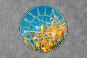 Fototapeta 3D na wymiar - urocze kwiaty - obrazek 2