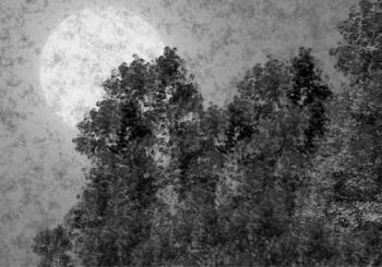 Fototapeta księżycowa noc - obrazek 2