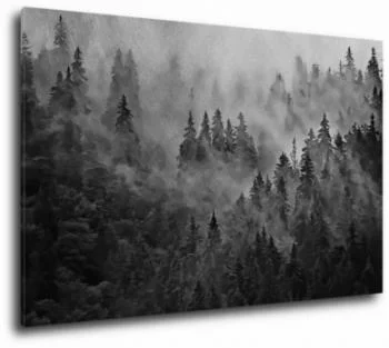 Obraz szkicowany las we mgle