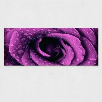 Obraz na szkle - fioletowa róża