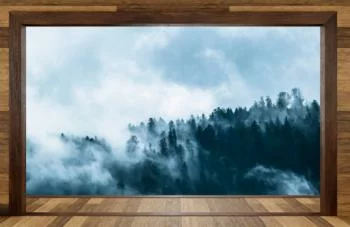 Fototapeta 3D na wymiar - las spowity mgłą