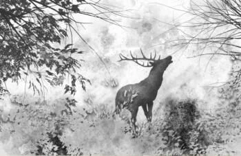 Fototapeta na wymiar - leśne ostępny - obrazek 2