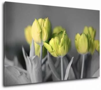 Obraz żółte tulipany na szarym tle - obrazek 2