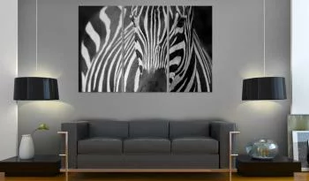 Obraz - Pani Zebra - obrazek 2