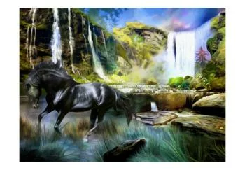 Fototapeta wodoodporna - Koń na tle błekitnego wodospadu - obrazek 2
