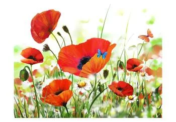 Fototapeta - Country poppies - obrazek 2