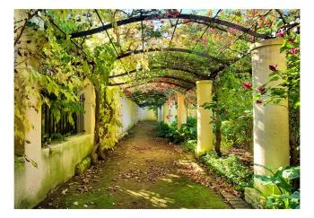 Fototapeta wodoodporna - Pergola - obrazek 2