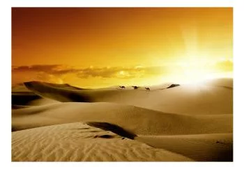 Fototapeta wodoodporna - Marsz wielbłądów - obrazek 2