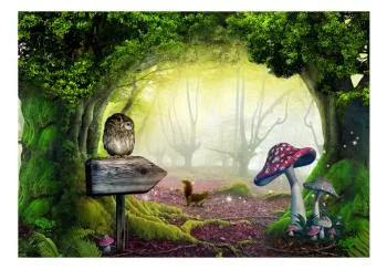 Fototapeta wodoodporna - Sowi zakątek - obrazek 2