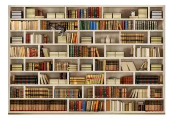 Fototapeta wodoodporna - Domowa biblioteczka - obrazek 2