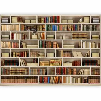 Fototapeta - Domowa biblioteczka - obrazek 5