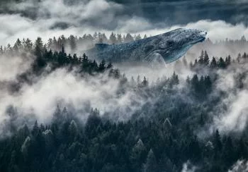 Fototapeta - Senne przestrzenie - obrazek 6