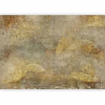 Fototapeta - Kamienna natura - obrazek 5