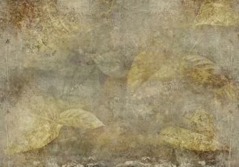 Fototapeta - Kamienna natura - obrazek 6