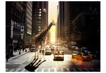 Fototapeta - Żyrafa w wielkim mieście - obrazek 2