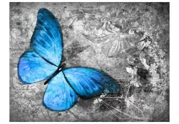 Fototapeta - Blue butterfly - obrazek 2
