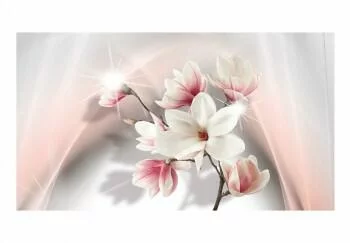 Fototapeta 3D XXL - Białe magnolie II